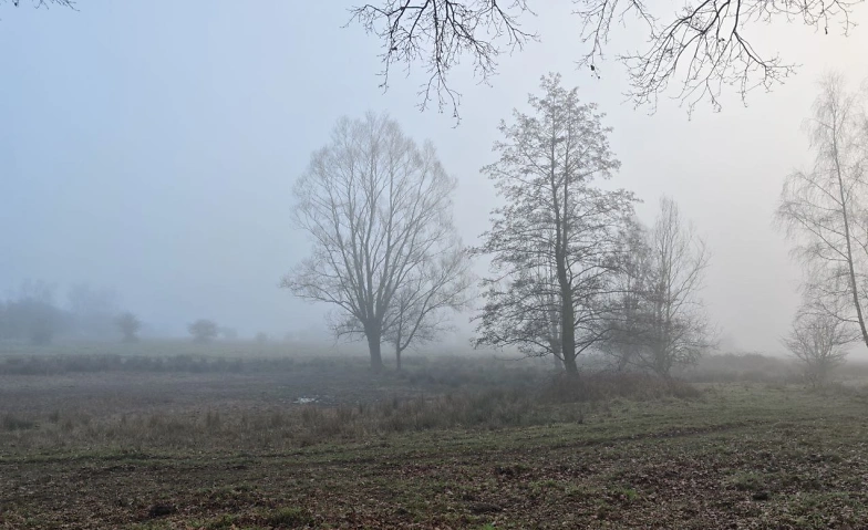 Event-Image for 'Winterreise zur alten Eiche im Hervester Bruch'