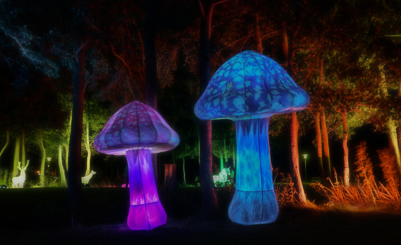 Event-Image for 'Nordlichter Bremervörde 2026'