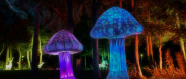 Event-Image for 'Nordlichter Bremerv&ouml;rde 2026'