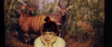 Event-Image for 'Odd Beholder @ Kultur i de Gass 20.09.2025'