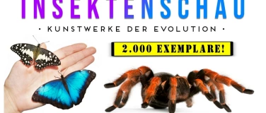 Event-Image for 'Insektenschau Kunstwerke der Evolution'