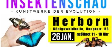 Event-Image for 'Insektenschau Kunstwerke der Evolution in Herborn'