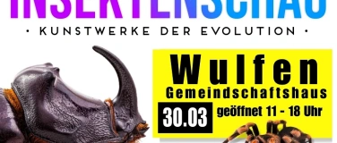 Event-Image for 'Insektenschau - Kunstwerke der Evolution'