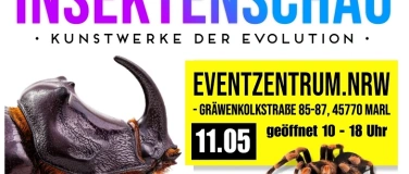 Event-Image for 'Insektenschau - Kunstwerke der Evolution'