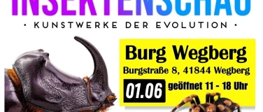 Event-Image for 'Insektenschau - Kunstwerke der Evolution'