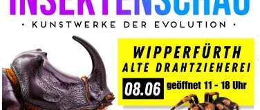 Event-Image for 'Insektenschau - Kunstwerke der Evolution'