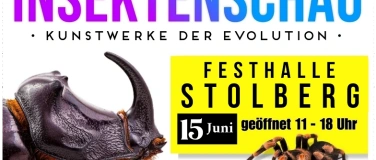 Event-Image for 'Insektenschau - Kunstwerke der Evolution'