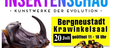 Event-Image for 'Insektenschau - Kunstwerke der Evolution'