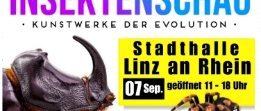 Event-Image for 'Insektenschau - Kunstwerke der Evolution'