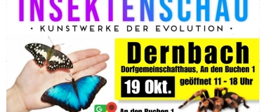 Event-Image for 'Insektenschau - Kunstwerke der Evolution'