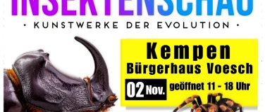 Event-Image for 'Insektenschau - Kunstwerke der Evolution'