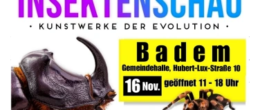 Event-Image for 'Insektenschau - Kunstwerke der Evolution'