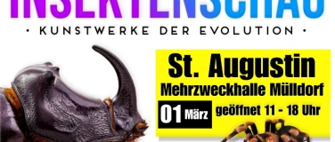 Event-Image for 'Insektenschau - Kunstwerke der Evolution'