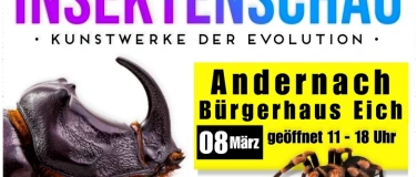Event-Image for 'Insektenschau - Kunstwerke der Evolution'