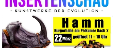 Event-Image for 'Insektenschau - Kunstwerke der Evolution'