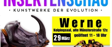 Event-Image for 'Insektenschau - Kunstwerke der Evolution'