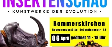 Event-Image for 'Insektenschau - kunstwerke der Evolution'