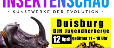 Event-Image for 'Insektenschau - Kunstwerke der Evolution'