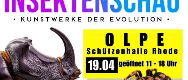Event-Image for 'Insektenschau - Kunstwerke der Evolution'