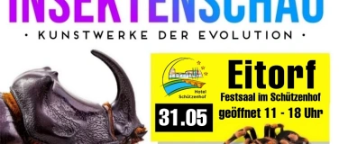 Event-Image for 'Insektenschau - Kunstwerke der Evolution'