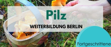 Event-Image for 'Pilz Weiterbildung für Fortgeschrittene'