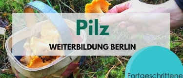 Event-Image for 'Pilze f&uuml;r Fortgeschrittene - Weiterbildung'