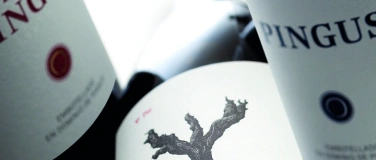 Event-Image for 'Tatar & Pingus – Ein Abend für Geniesser –Filiale Regensdorf'