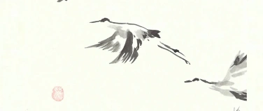 Event-Image for 'Chorkonzert SINGEREI Winterthur fliegt durch die L&uuml;fte'