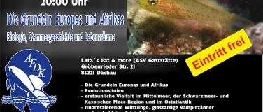 Event-Image for 'Die Grundeln Europas und Afrikas'