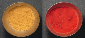 Veranstalter:in von Workshop 4: GELLI PRINT Pflanzenabdruck