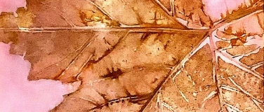 Event-Image for 'Ecoprint auf Papier - mit Farbdecke im Dampf gegart'