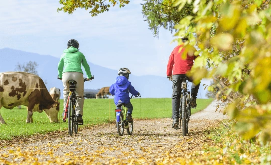 Frühlingsausfahrt Alte Garde Wird noch angekündigt Tickets