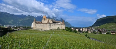 Event-Image for 'Tasting Mondial du Chasselas'