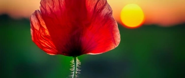 Event-Image for 'YOGA & NATUR'