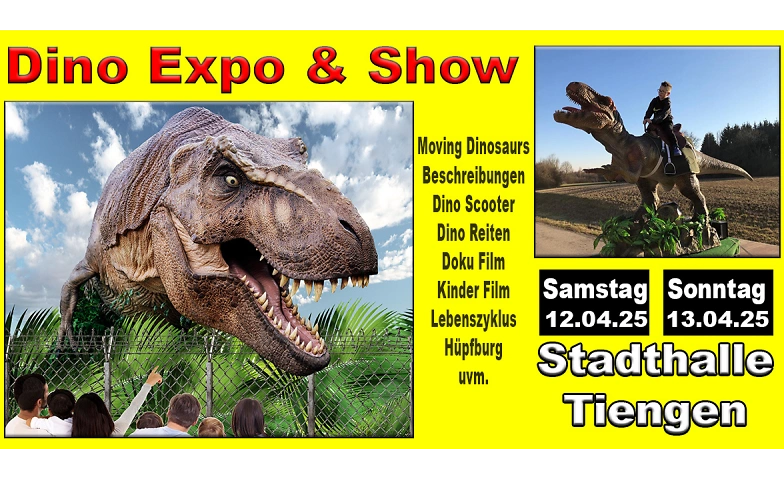 Event-Image for 'Dino Expo & Show Stadthalle Tiengen'