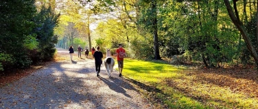 Event-Image for 'Lama-Park-Wanderung in der herbstlichen Parklandschaft'