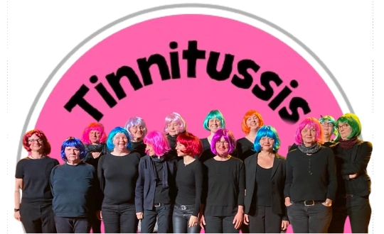 Logo de sponsoring de l'&eacute;v&eacute;nement STIMMT SO! Frauen &uuml;ber Frauen &ndash; Melodiva & die Tinnitussis