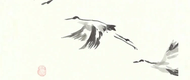 Event-Image for 'Chorkonzert SINGEREI Winterthur fliegt durch die L&uuml;fte'