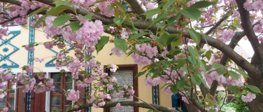 Event-Image for '"Zschachwitzer Dorfmeile" im Putjatinhaus'