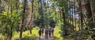 Event-Image for 'Singlewanderung: Wieden - Genießerpfad Belchensteig (30-50J)'