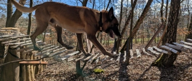 Event-Image for 'Hundekletterpark - K&ouml;rperbewusstsein und Balance'