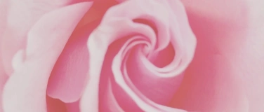 Event-Image for 'awanata Ritual - Die Magie der Rose'