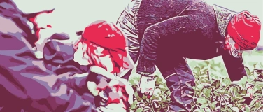 Event-Image for 'Das Radiesli stimmt mich zuversichtlich'