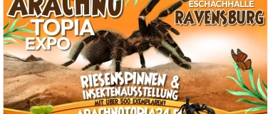 Event-Image for 'Arachnotopia - Vogelspinnen & Insektenausstellung Ravensburg'