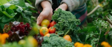 Event-Image for 'Kurze Wege, Großer Geschmack'
