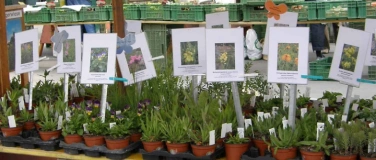 Event-Image for 'Wildpflanzen- und Kr&auml;utermarkt Reinach'