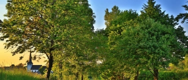 Event-Image for 'Themenwanderung'