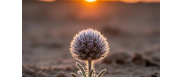 Event-Image for 'Wege zur Resilienz'