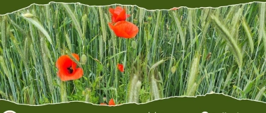 Event-Image for 'Resilienzwanderung'