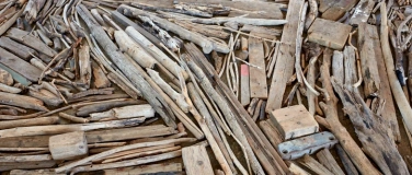 Event-Image for 'Richard Long - Rhine Driftwood Line'